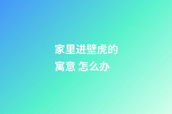 家里进壁虎的寓意 怎么办